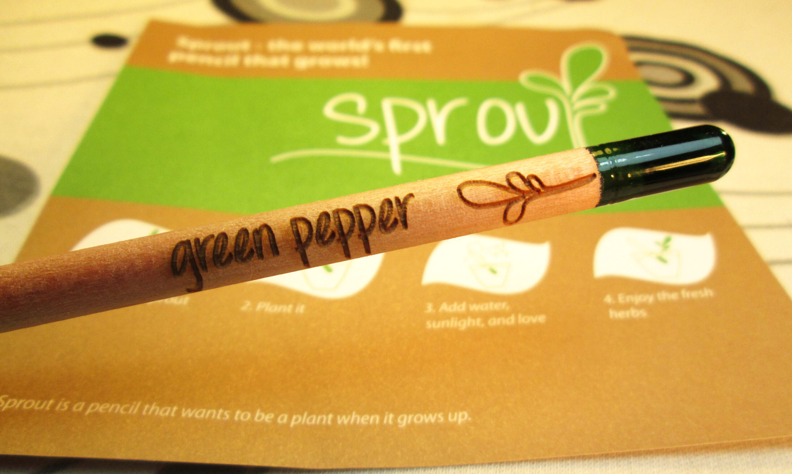 Sprout la matita che diventa una pianta